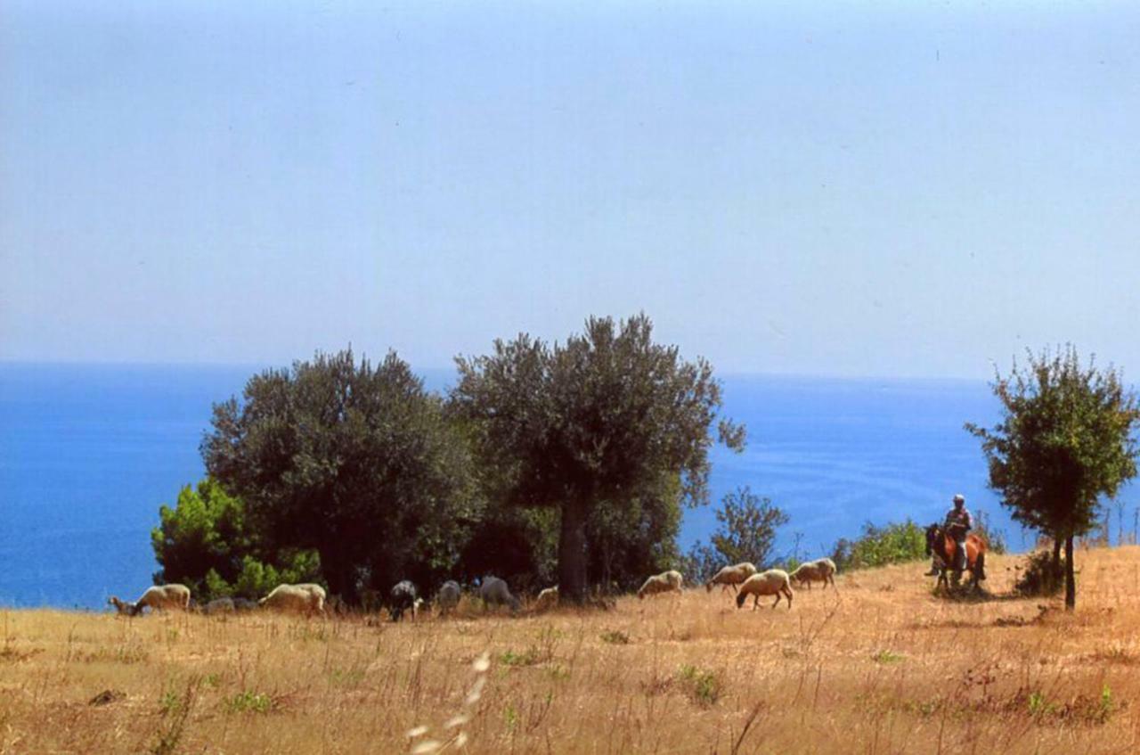 Grassetti Villa Montegiordano Luaran gambar