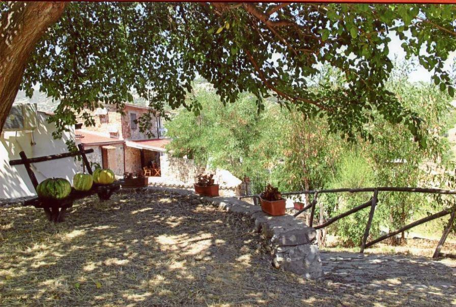 Grassetti Villa Montegiordano Luaran gambar